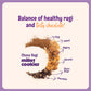 Choco Ragi Cookies (2 x 100g)