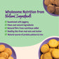 Millet Cookies - 3 Flavours Combo (3 x 100g)